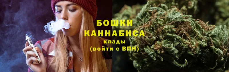 Марихуана OG Kush  Костомукша 